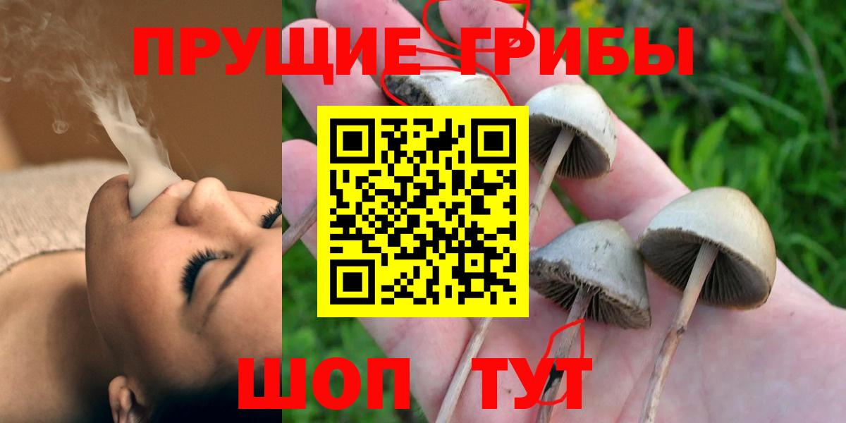 Псилоцибиновые грибы мицелий Черногорск