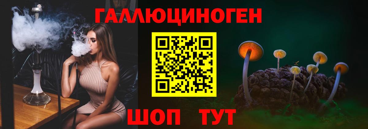 Галлюциногенные грибы Psilocybine cubensis  Вход с VPN  Черногорск 
