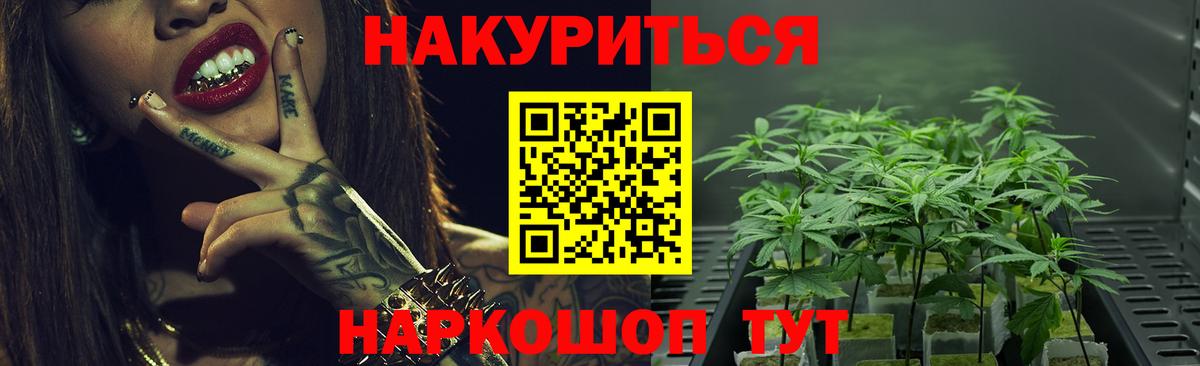 Бошки марихуана конопля  Вход с VPN  Конопля марихуана  Каннабис конопля  Черногорск 